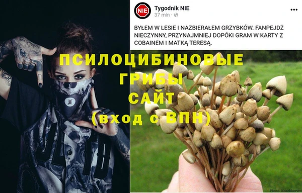 трава Приозерск