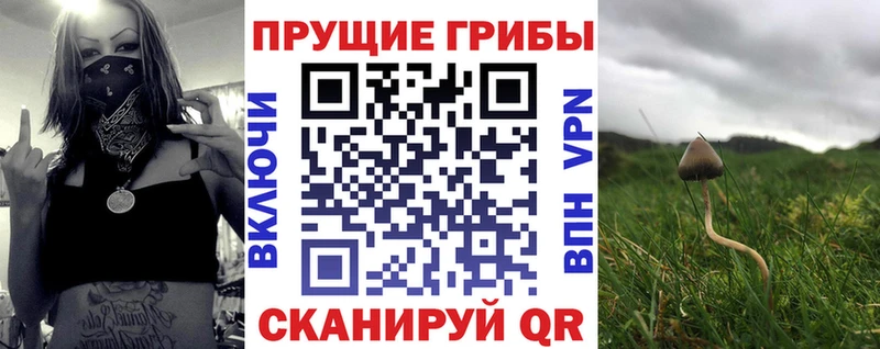 Галлюциногенные грибы Magic Shrooms Верхоянск